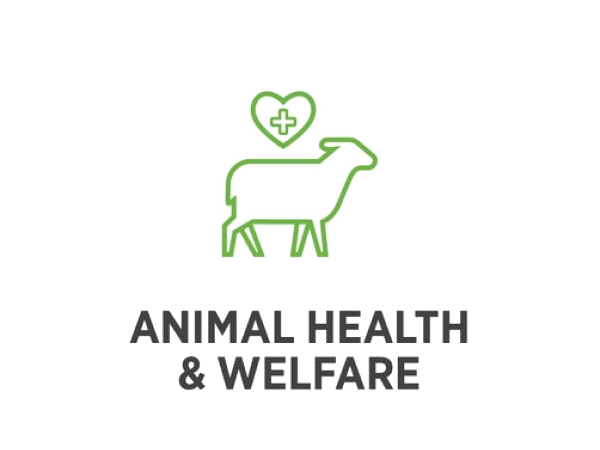 ANIMAL HEALTH & WELFARE